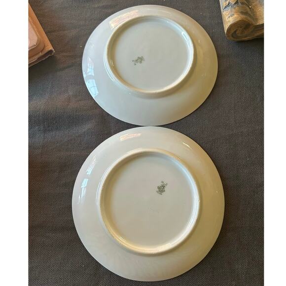 Antique MZ Austria bunny dessert Plates Set of 2 White Gold Gilt children 7” - Picture 8 of 10